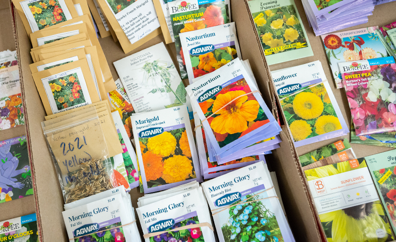 Boxes full of seed packets.