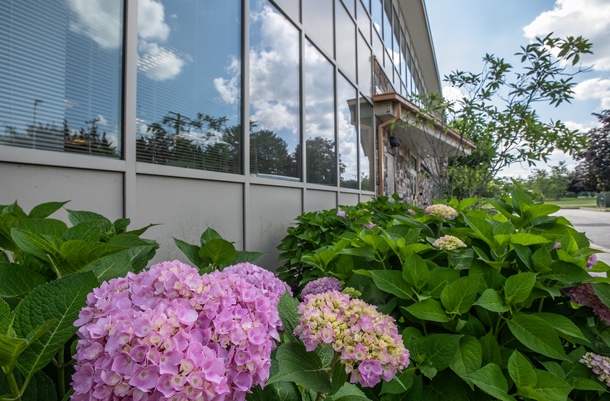 Admin building exterior.